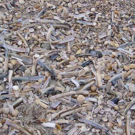 Haus Nordseeresidenz 28